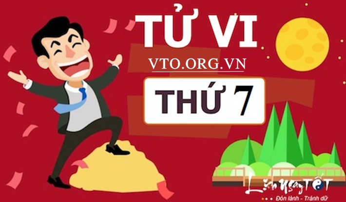 vto-org-vn365.jpeg