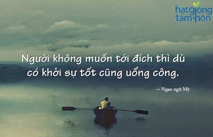 vto-org-vn362.jpg vto-org-vn362.jpg